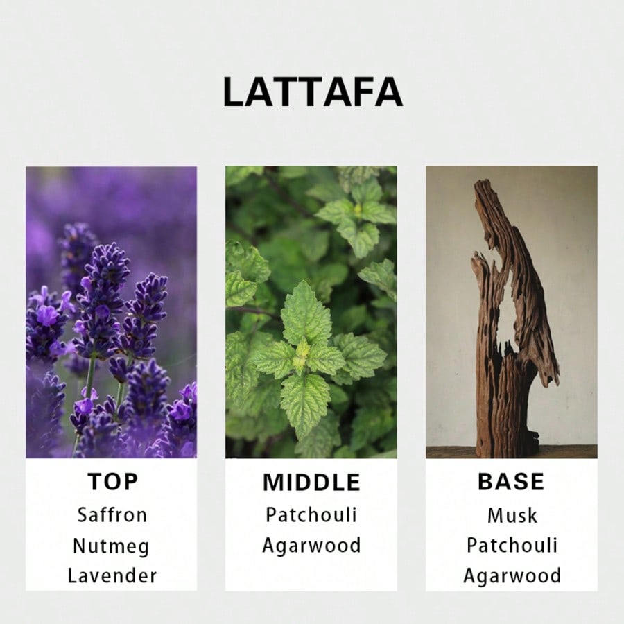 Lattafa Badee Al Oud For Glory - Fragrance And Perfume ulasan dan harga