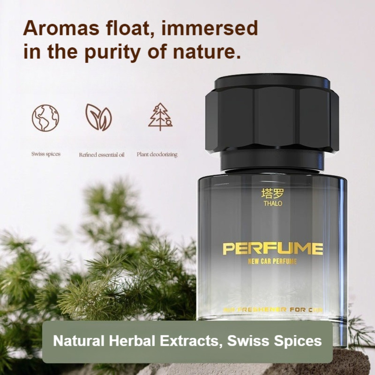 Men's Perfume: Long-Lasting, F - Perfume Fresh Fragrance ulasan dan harga